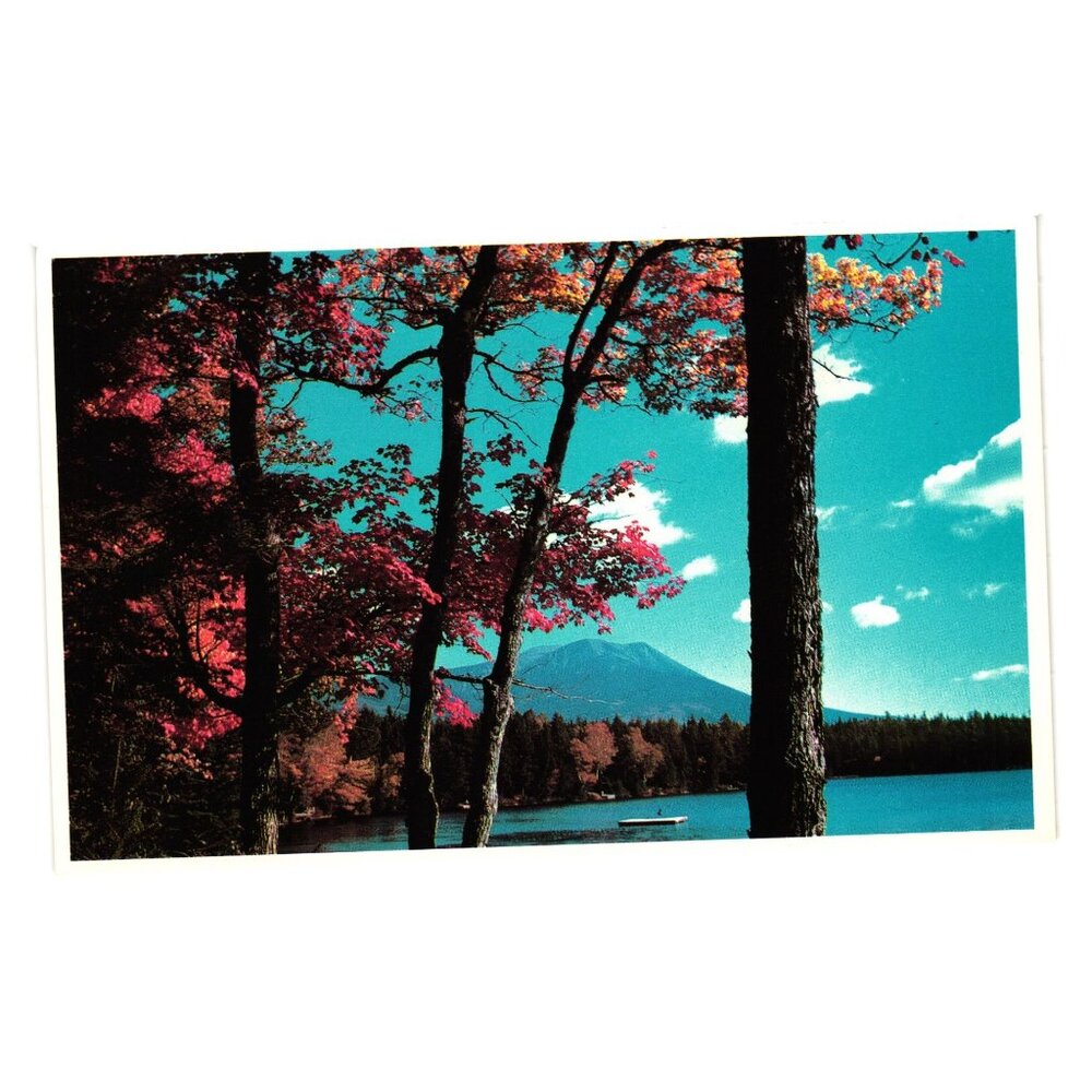 Autumn Glory Mt Katahdin Kidney Pond Baxter Park Maine Postcard Published USA